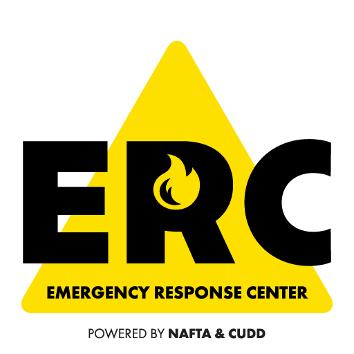 ERC logo